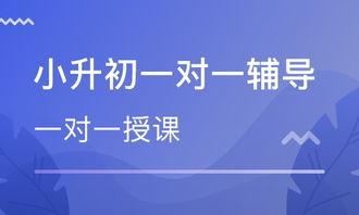 南开小升初爆料事件最新,内幕揭秘，家长焦虑与教育公平的碰撞